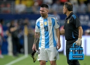 开云体育平台APP-南美洲杯球星撤出比赛，众队火力锐减的简单介绍