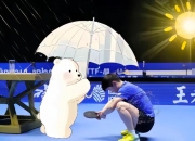 开云下载-体育赛场热闹非凡，引领时尚风向