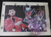 开云体育在线-关于德国乒乓球队绝杀比利时乒乓球队，张继科打破历史纪录的信息