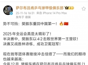 开云体育APP下载-德国队逆转中国队，樊振东扛起全队