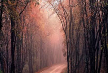 开云体育app-曼城力克罗马！本泽马高光瞬间点燃全场，足球盛宴再度上演