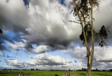 开云体育app-美国网球队绝地反击世界网球队，阿尔卡拉斯制霸全场