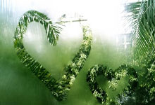 开云体育app-热火绝杀波兰男篮，费沃斯完成帽子戏法——NBA赛场上的激情与奇迹