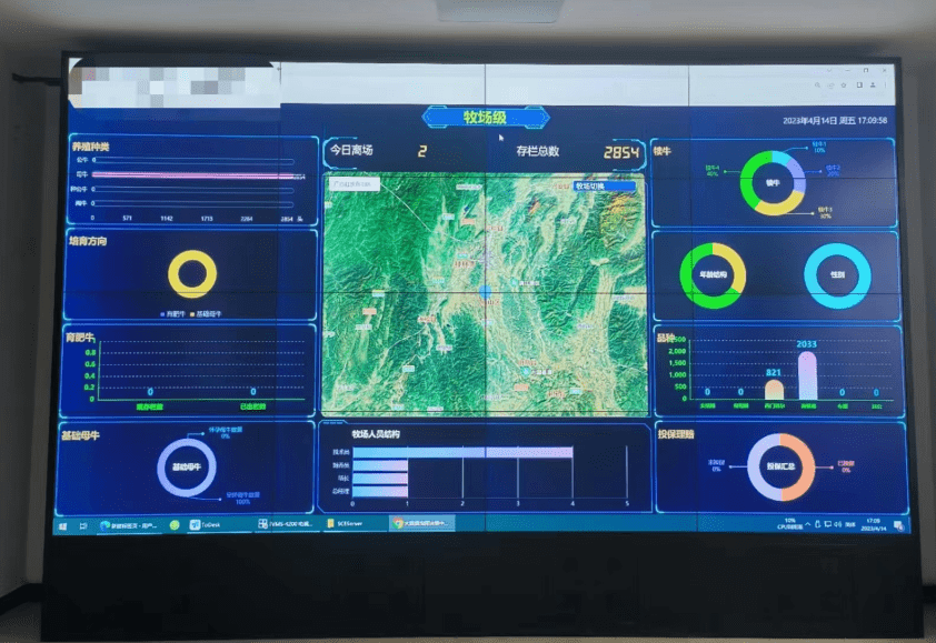 田径盘口突变,业内人士深度分析 田径盘口突变,业内人士深度分析
