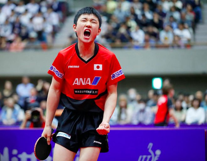 包含波兰队险胜英格兰队，张继科统治全场的词条